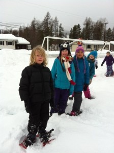 Snowshoe 1